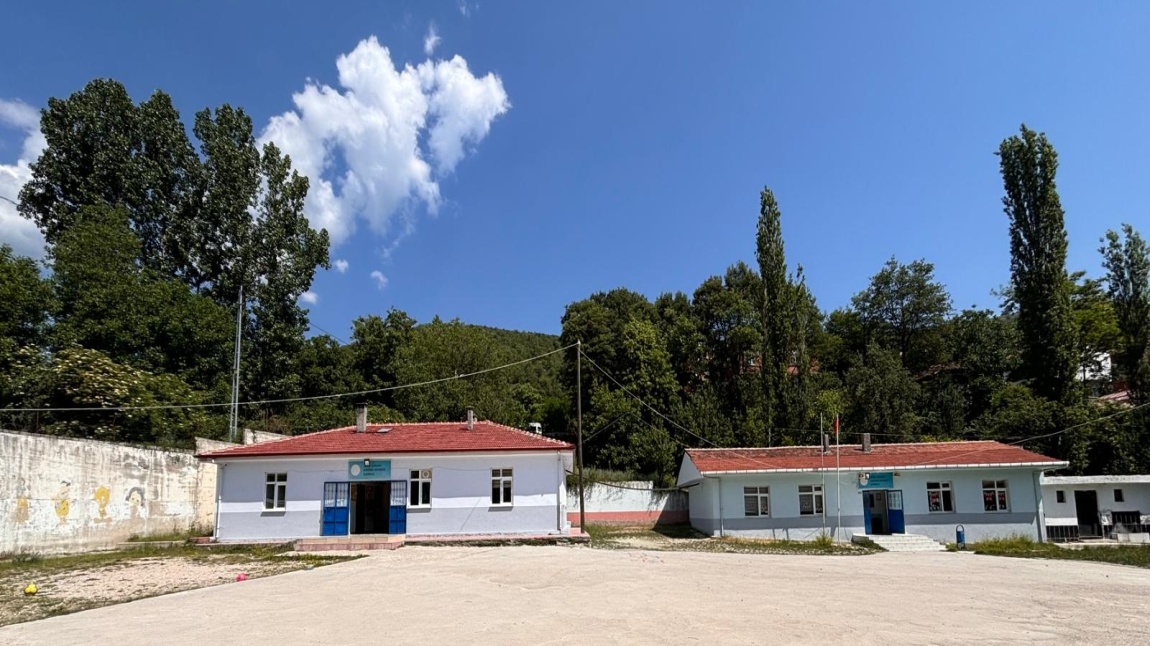 Sarıdibek Köyderesi İlkokulu Fotoğrafı